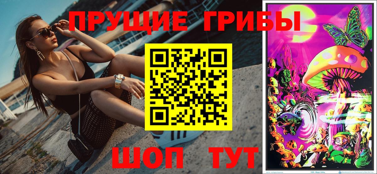 Галлюциногенные грибы Cubensis Ставрополь