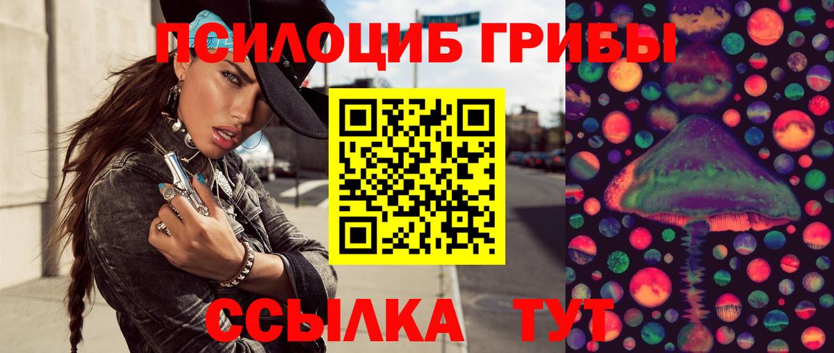 Псилоцибиновые грибы ЛСД  Вход с VPN  Ставрополь  Галлюциногенные грибы MAGIC MUSHROOMS 